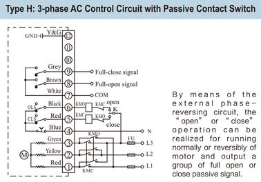 50Nm Quarter Turn Actuator