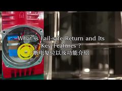 موتور الکتریکی ضد انفجار IP68 CSA Power-off Reset Modbus